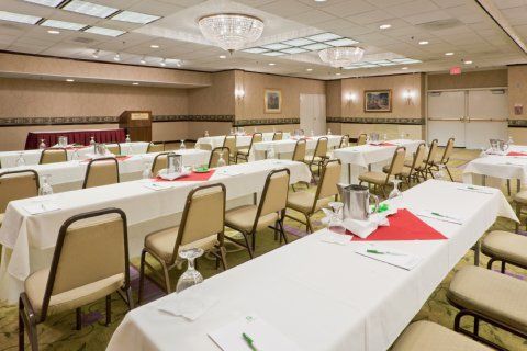 卡莱尔假日Ihg 3*亚历山大