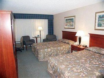 卡莱尔假日酒店Ihg Alexandria